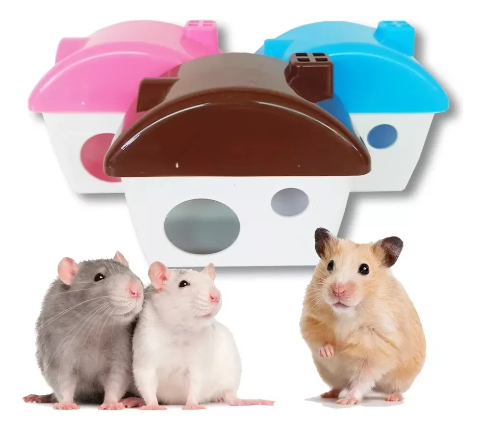 casa hamster