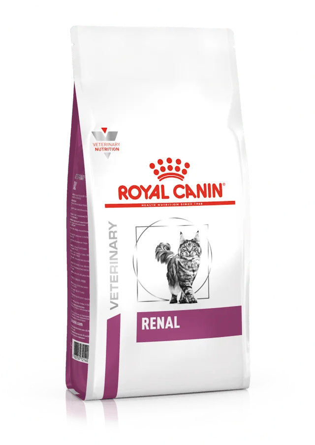 RENAL GATO