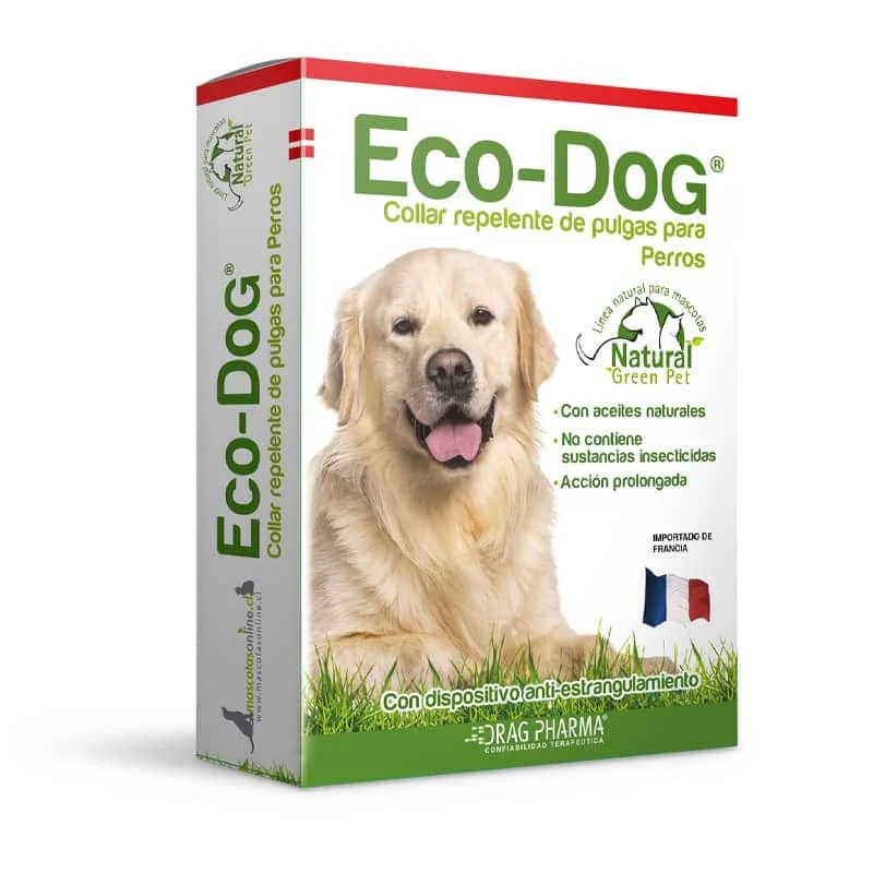 ECO-DOG