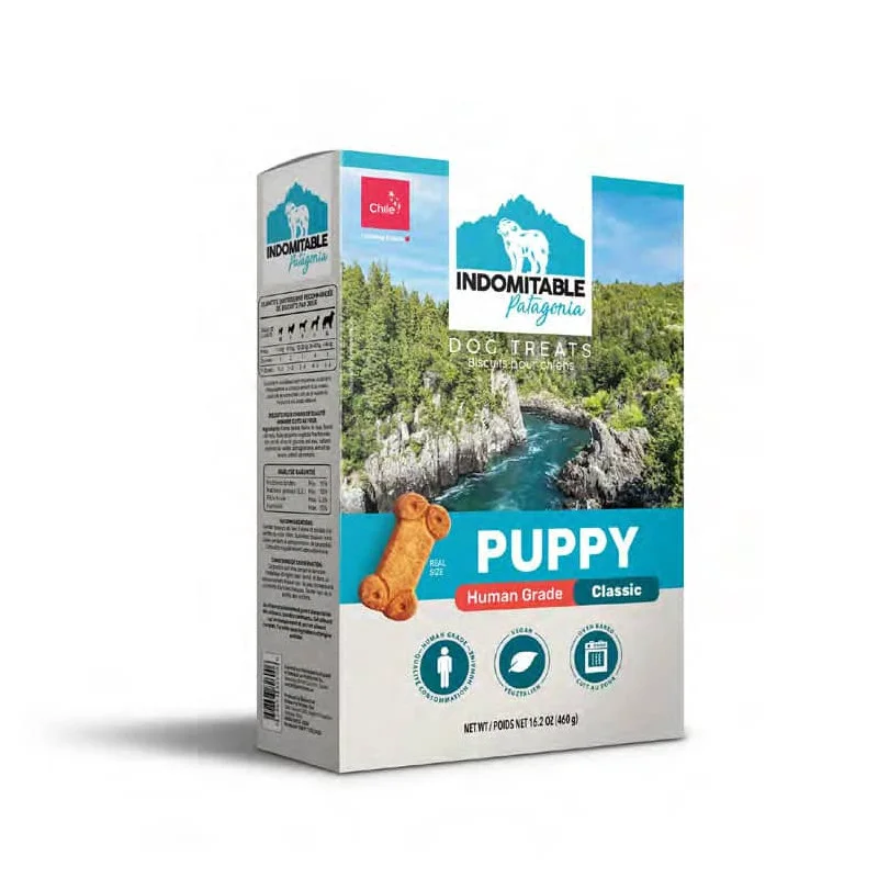 indomitable-classic-puppy-baked-biscuits-for-puppy