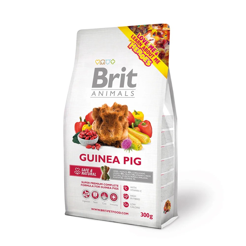 GUINEA