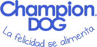 CHAMPION-DOG