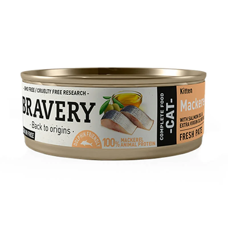 bravery-lata-caballa-kitten