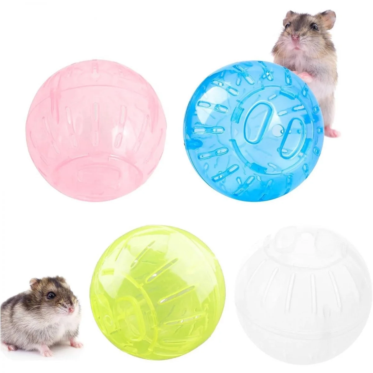 6970425101825-hamster-1-1200x1200