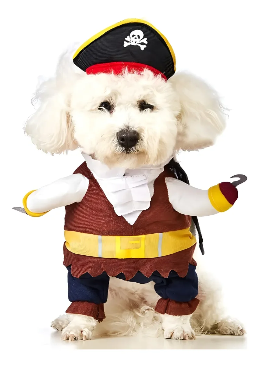 D_NQ_NP_2X_646640-MLC93980586253_102025-F-disfraz-diseno-pirata-perro-gato-mascota-ropa-grande-negro