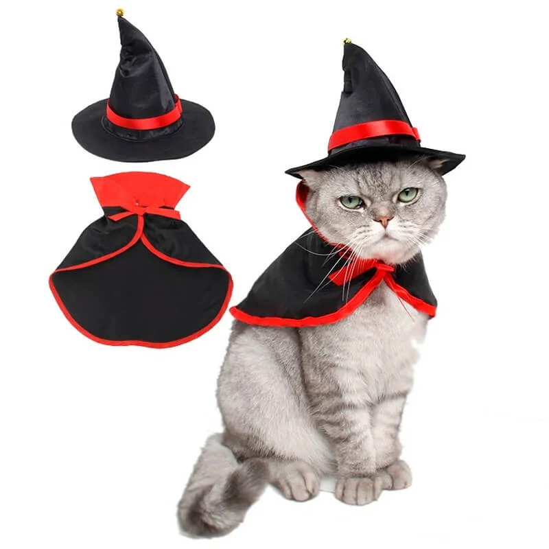 disfraz-de-bruja-para-gatos