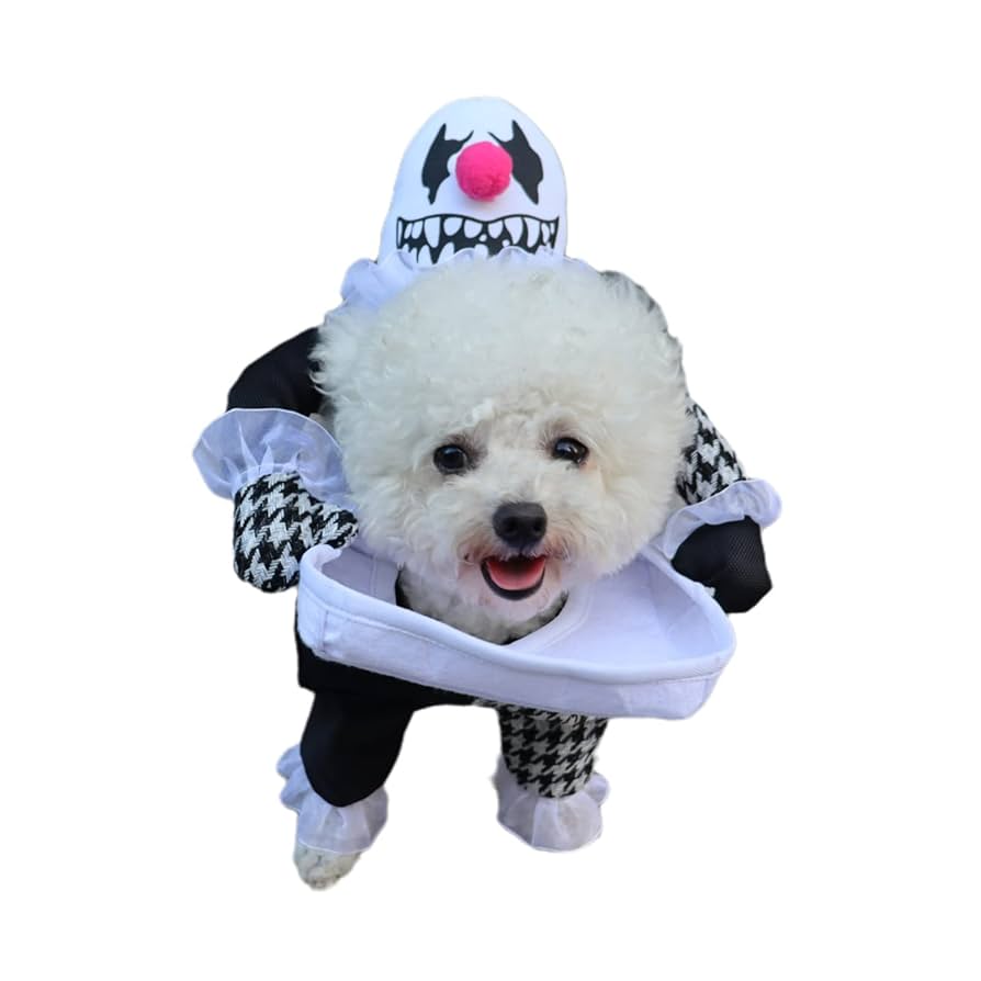 perro payaso
