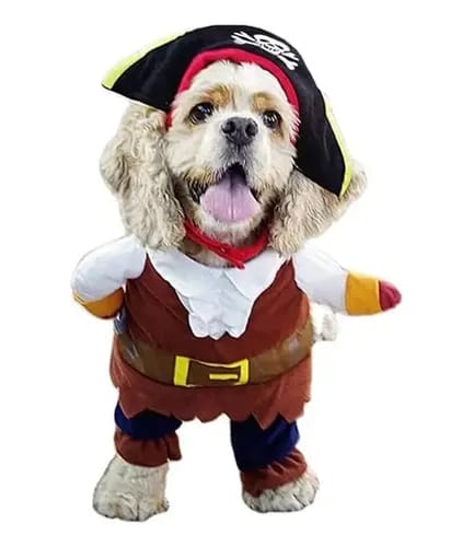 perro pirata