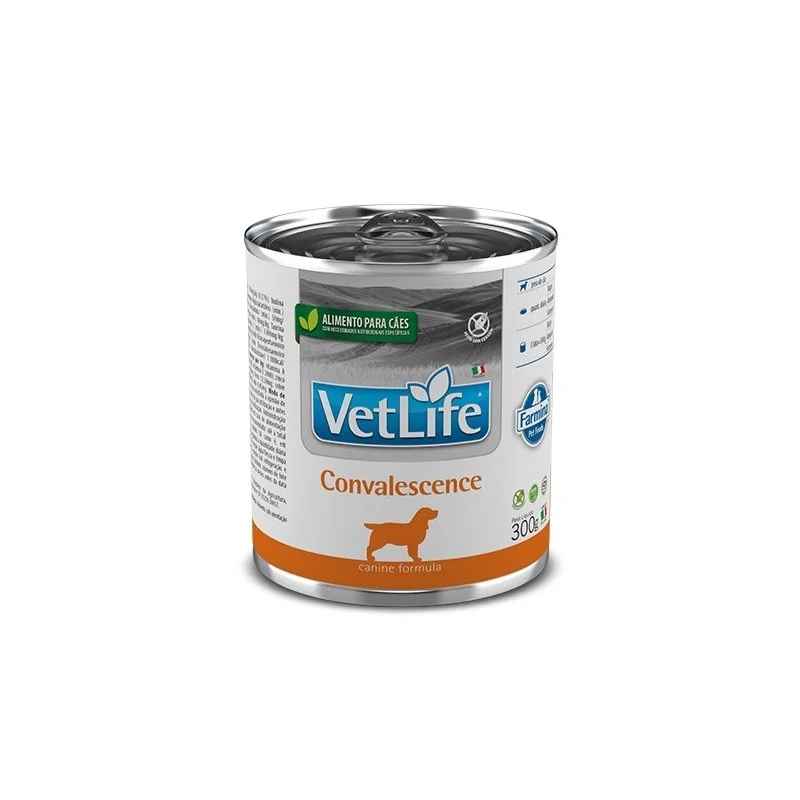 nd-ocean-canine-adult-mini